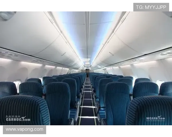 飞机客舱压力排气阀作动器维护 飞机客舱压力排气阀作动器维护